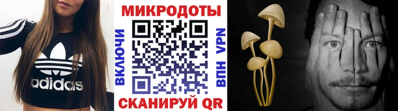 Галлюциногенные грибы Psilocybine cubensis Городище
